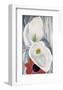 Calla Lilies with Red Anemone, 1928-Georgia O'Keeffe-Framed Art Print