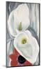 Calla Lilies with Red Anemone, 1928-Georgia O'Keeffe-Mounted Art Print