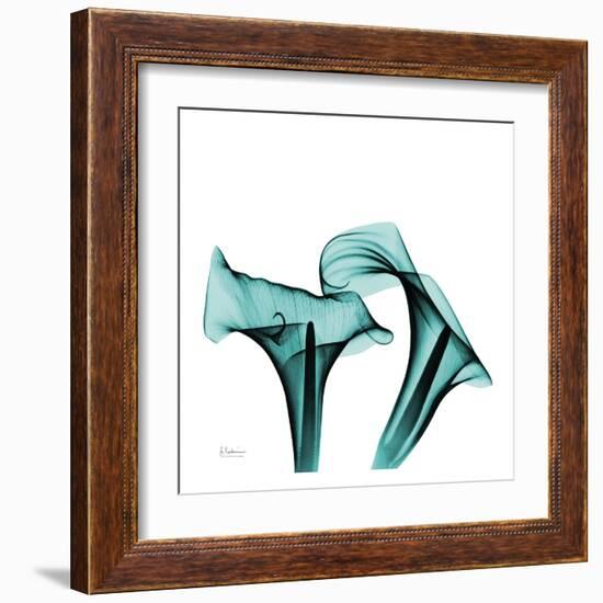 Calla Lilies-Albert Koestsier-Framed Art Print