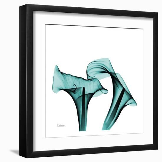 Calla Lilies-Albert Koestsier-Framed Art Print