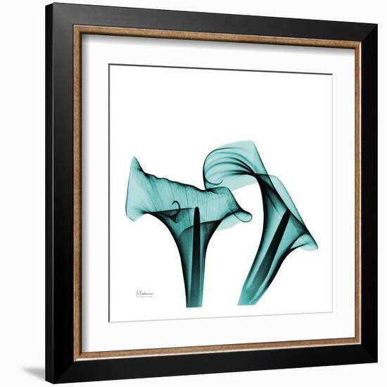 Calla Lilies-Albert Koestsier-Framed Art Print