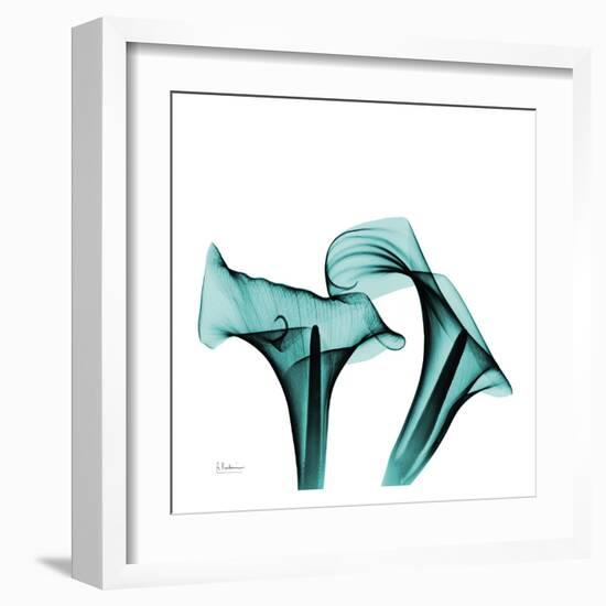 Calla Lilies-Albert Koestsier-Framed Art Print