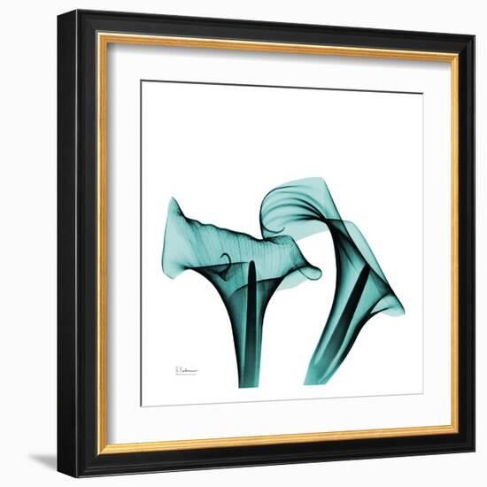 Calla Lilies-Albert Koestsier-Framed Art Print