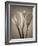 Calla Lilies-Assaf Frank-Framed Giclee Print