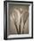 Calla Lilies-Assaf Frank-Framed Giclee Print