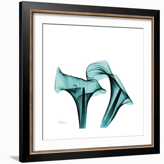 Calla Lilies-Albert Koetsier-Framed Premium Giclee Print