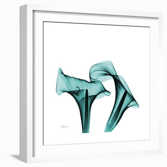 Calla Lilies-Albert Koetsier-Framed Premium Giclee Print