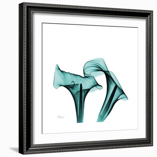 Calla Lilies-Albert Koetsier-Framed Premium Giclee Print