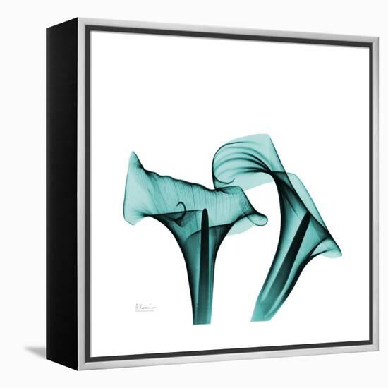 Calla Lilies-Albert Koetsier-Framed Stretched Canvas