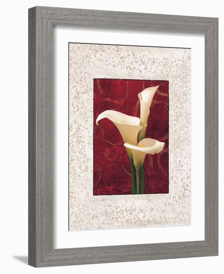 Calla Lilies-John Seba-Framed Art Print