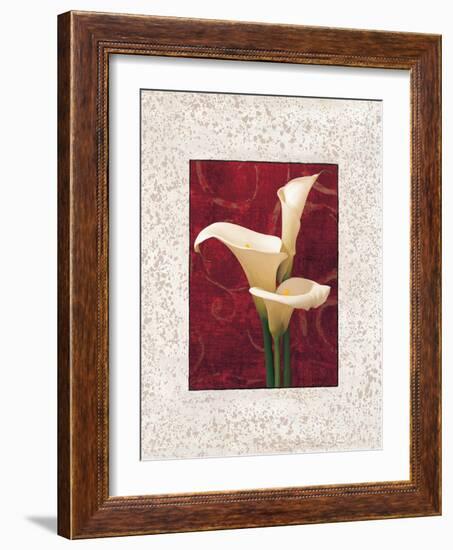 Calla Lilies-John Seba-Framed Art Print