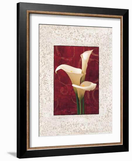 Calla Lilies-John Seba-Framed Art Print