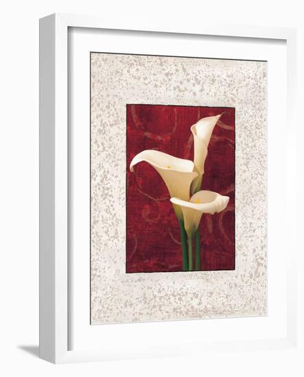 Calla Lilies-John Seba-Framed Art Print