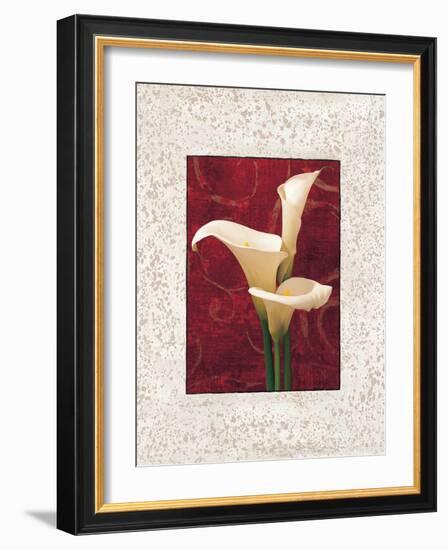 Calla Lilies-John Seba-Framed Art Print