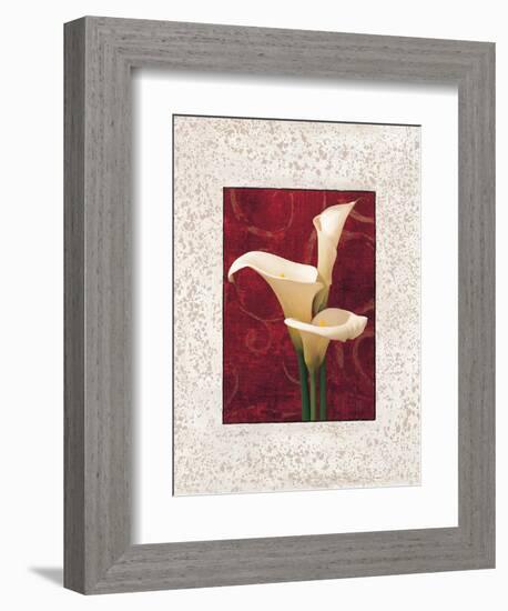 Calla Lilies-John Seba-Framed Premium Giclee Print