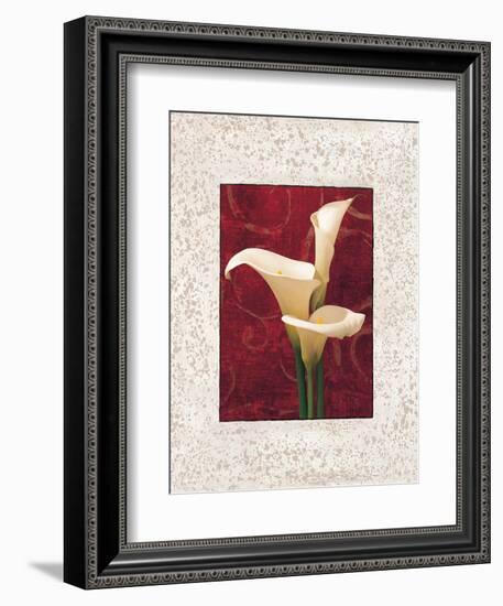 Calla Lilies-John Seba-Framed Premium Giclee Print