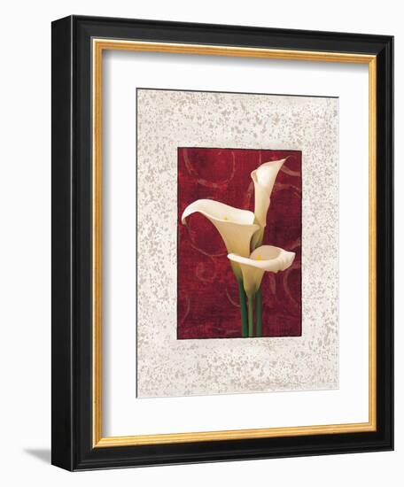 Calla Lilies-John Seba-Framed Premium Giclee Print
