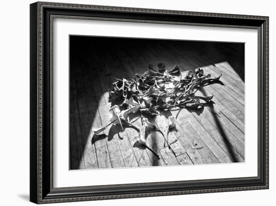 Calla Lillies on Wood Floor B/W-null-Framed Photo