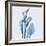 Calla Lilly Blue-Albert Koetsier-Framed Art Print