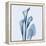 Calla Lilly Blue-Albert Koetsier-Framed Stretched Canvas