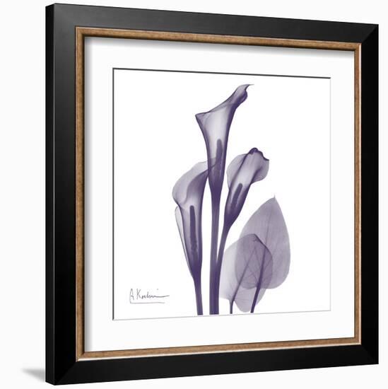 Calla Lilly Purple-Albert Koetsier-Framed Art Print