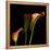 Calla Lily 2-Magda Indigo-Framed Premier Image Canvas