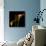 Calla Lily 2-Magda Indigo-Premium Photographic Print displayed on a wall