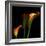 Calla Lily 2-Magda Indigo-Framed Photographic Print