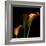 Calla Lily 2-Magda Indigo-Framed Photographic Print