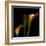 Calla Lily 2-Magda Indigo-Framed Photographic Print