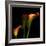 Calla Lily 2-Magda Indigo-Framed Photographic Print