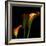 Calla Lily 2-Magda Indigo-Framed Photographic Print