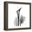 Calla Lily Gray 2-Albert Koetsier-Framed Stretched Canvas