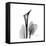 Calla Lily Gray 2-Albert Koetsier-Framed Stretched Canvas