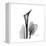 Calla Lily Gray 2-Albert Koetsier-Framed Stretched Canvas