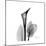 Calla Lily Gray 2-Albert Koetsier-Mounted Art Print