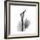 Calla Lily Gray 2-Albert Koetsier-Framed Premium Giclee Print