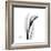 Calla Lily Gray 3-Albert Koetsier-Framed Premium Giclee Print