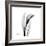 Calla Lily Gray 3-Albert Koetsier-Framed Premium Giclee Print