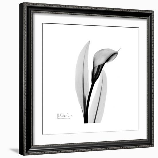 Calla Lily Gray 3-Albert Koetsier-Framed Premium Giclee Print