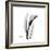 Calla Lily Gray 3-Albert Koetsier-Framed Premium Giclee Print