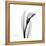 Calla Lily Gray 3-Albert Koetsier-Framed Stretched Canvas