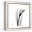 Calla Lily Gray 3-Albert Koetsier-Framed Stretched Canvas