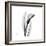 Calla Lily Gray 3-Albert Koetsier-Framed Art Print