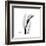 Calla Lily Gray 3-Albert Koetsier-Framed Art Print