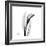 Calla Lily Gray 3-Albert Koetsier-Framed Art Print