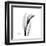 Calla Lily Gray 3-Albert Koetsier-Framed Art Print