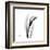 Calla Lily Gray 3-Albert Koetsier-Framed Art Print