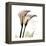 Calla Lily Happiness-Albert Koetsier-Framed Stretched Canvas