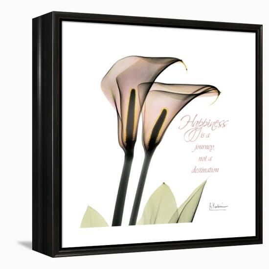 Calla Lily Happiness-Albert Koetsier-Framed Stretched Canvas